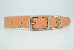  Cool Trending Collars - Pets, Collar, Senristar Store, Miss Molly & Co. - Miss Molly & Co.
