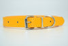  Cool Trending Collars - Pets, Collar, Senristar Store, Miss Molly & Co. - Miss Molly & Co.