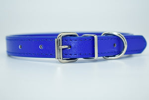  Cool Trending Collars - Pets, Collar, Senristar Store, Miss Molly & Co. - Miss Molly & Co.