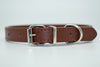  Cool Trending Collars - Pets, Collar, Senristar Store, Miss Molly & Co. - Miss Molly & Co.