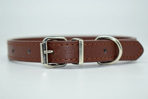 Cool Trending Collars - Pets, Collar, Senristar Store, Miss Molly & Co. - Miss Molly & Co.