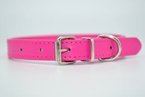  Cool Trending Collars - Pets, Collar, Senristar Store, Miss Molly & Co. - Miss Molly & Co.
