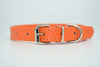  Cool Trending Collars - Pets, Collar, Senristar Store, Miss Molly & Co. - Miss Molly & Co.
