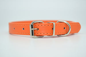  Cool Trending Collars - Pets, Collar, Senristar Store, Miss Molly & Co. - Miss Molly & Co.