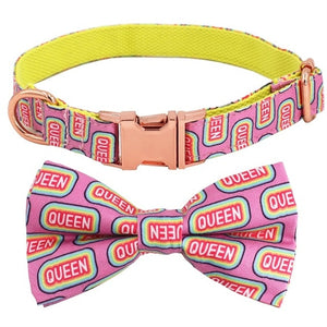 Queen B - Pet Collar + Lead