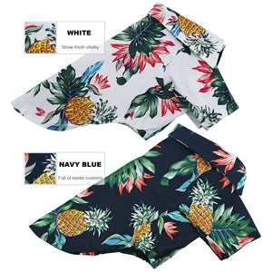 Tropical Spring - Pet Shirt